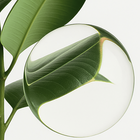 Essenherb Tea Tree 100 Oil (10ml) - AMI Cosmetic