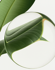 Essenherb Tea Tree 100 Oil (10ml) - AMI Cosmetic