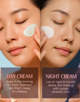 Day to night routine program (30ml*2ea) - AMI Cosmetic