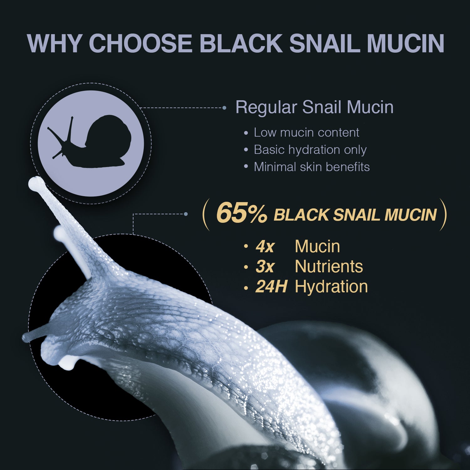 Essenherb Black Snail Signature Lift Cream - AMI Cosmetic