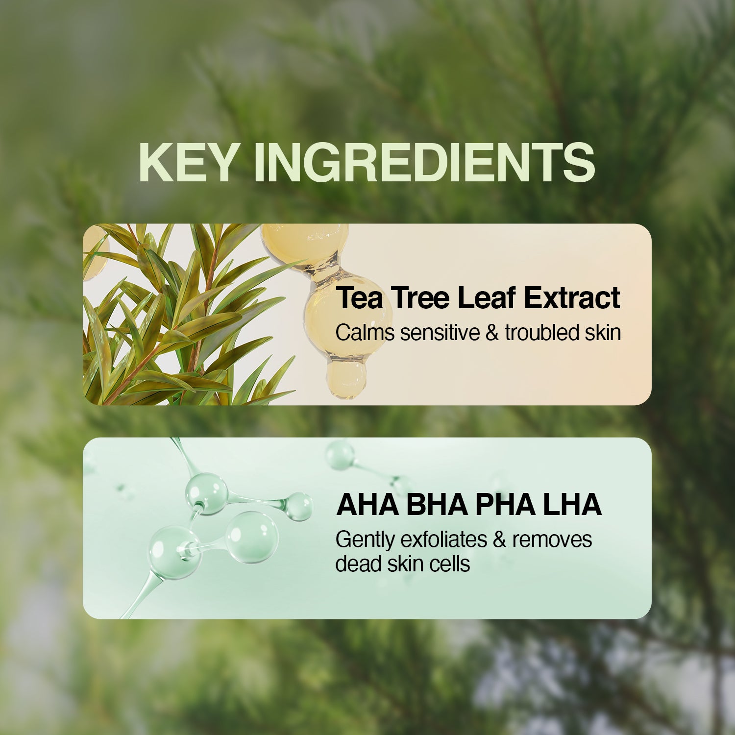 Essenherb Tea Tree 90 Clear Body Mist (200ml) - AMI Cosmetic