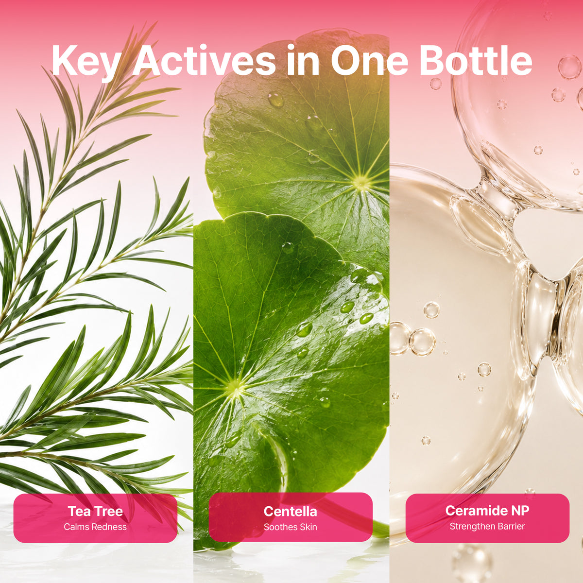 Quick And Deep Bubble Essence Calming Tea Tree Mini