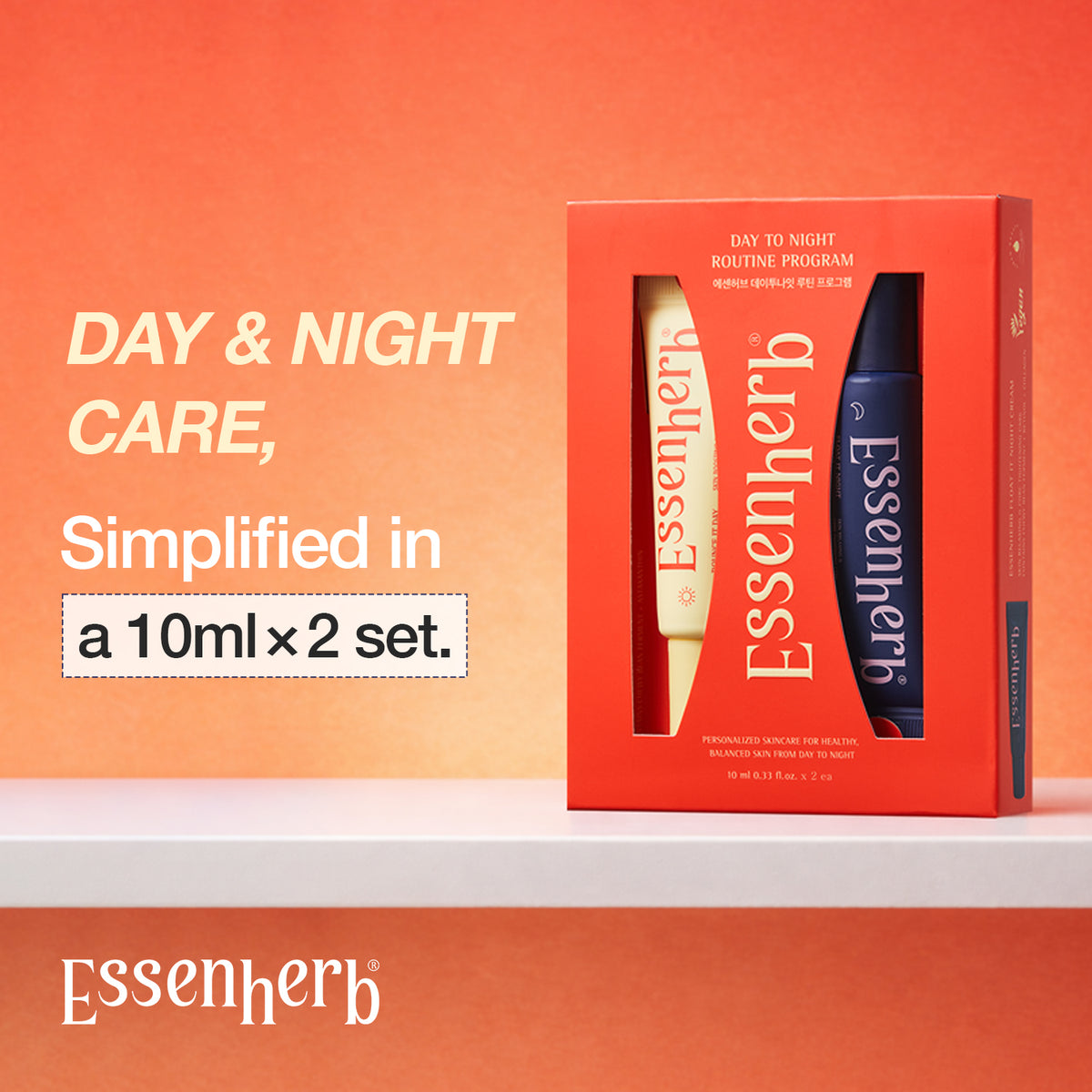 Day to Night Routine Program Mini