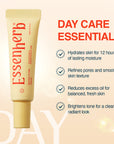 Day to Night Routine Program Mini